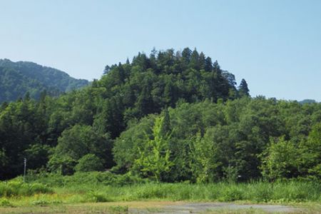 夏の景色